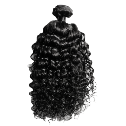 Burmese Curly